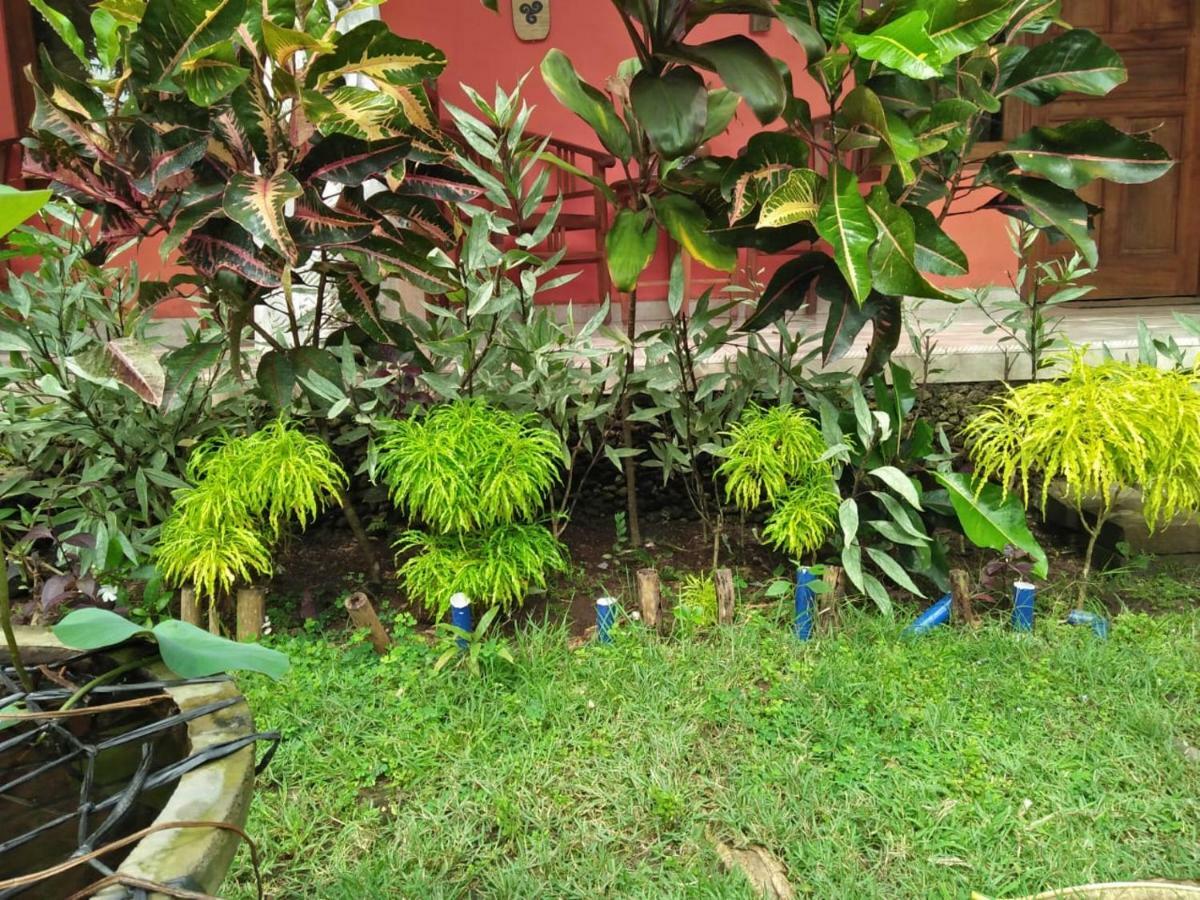 Made Roejas Homestay Uluwatu Exterior foto